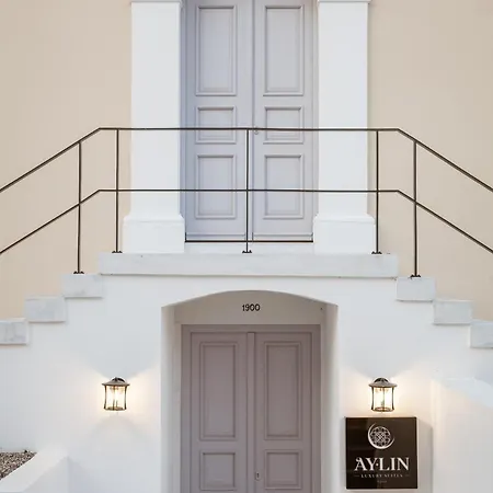 Aylin Executive